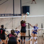 Odbojka D liga :Kontovel Zalet - Morano Volley