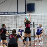 Odbojka D liga :Kontovel Zalet - Morano Volley