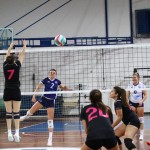Odbojka D liga :Kontovel Zalet - Morano Volley