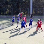 Nogomet 1.AL : Beg - Sovodnje