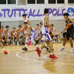 Košarka : No borders