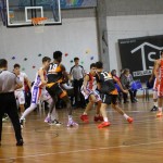 Košarka : No borders