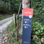 Mladina: vzpon na Vrh Punte dell’Uccel