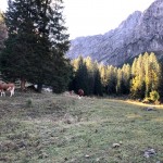 Mladina: vzpon na Vrh Punte dell’Uccel