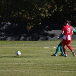 Nogomet Elitna liga : Kras Repen - Muggia 1967