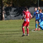 Nogomet Elitna liga : Kras Repen - Muggia 1967