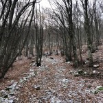 PO AŠD Mladina: zadnji letošnji vzpon na vrh Kurnan