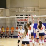 Odbojka ćlanske lige : Sokol - Zalet gostilna Valeria