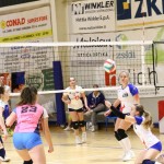 Odbojka ćlanske lige : Sokol - Zalet gostilna Valeria