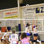 Odbojka ćlanske lige : Sokol - Zalet gostilna Valeria