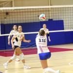 Odbojka ćlanske lige : Sokol - Zalet gostilna Valeria