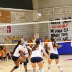 Odbojka ćlanske lige : Sokol - Zalet gostilna Valeria