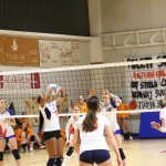 Odbojka ćlanske lige : Sokol - Zalet gostilna Valeria