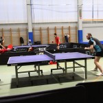 Namizni tenis Kras
