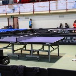 Namizni tenis Kras