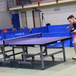 Namizni tenis Kras