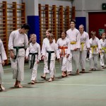 Božičnica Shinkai Club