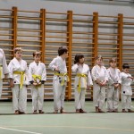 Božičnica Shinkai Club
