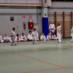 Božičnica Shinkai Club