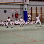 Božičnica Shinkai Club