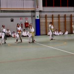 Božičnica Shinkai Club
