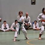 Božičnica Shinkai Club