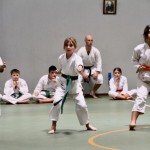 Božičnica Shinkai Club
