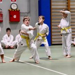 Božičnica Shinkai Club