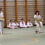 Božičnica Shinkai Club