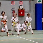 Božičnica Shinkai Club