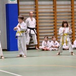 Božičnica Shinkai Club