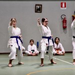 Božičnica Shinkai Club