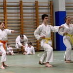 Božičnica Shinkai Club