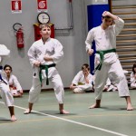 Božičnica Shinkai Club