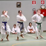 Božičnica Shinkai Club