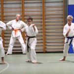 Božičnica Shinkai Club