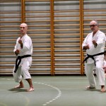 Božičnica Shinkai Club