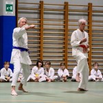 Božičnica Shinkai Club