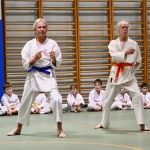 Božičnica Shinkai Club