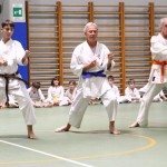 Božičnica Shinkai Club