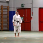 Božičnica Shinkai Club
