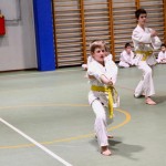 Božičnica Shinkai Club
