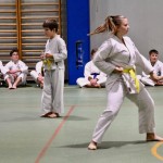 Božičnica Shinkai Club