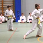 Božičnica Shinkai Club