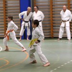 Božičnica Shinkai Club