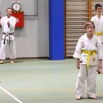 Božičnica Shinkai Club