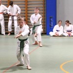 Božičnica Shinkai Club