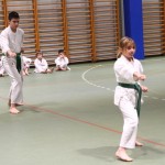 Božičnica Shinkai Club