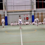 Božičnica Shinkai Club