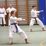 Božičnica Shinkai Club